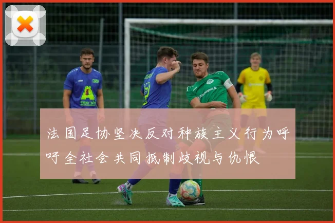 法国足协坚决反对种族主义行为呼吁全社会共同抵制歧视与仇恨